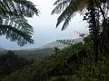 21a - Jardin Tropical 020